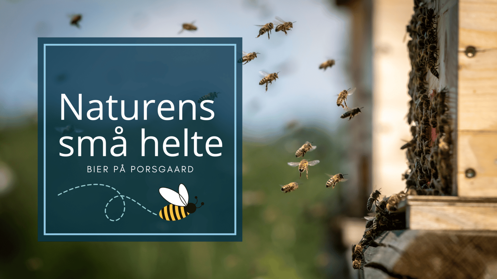 Naturens små helte